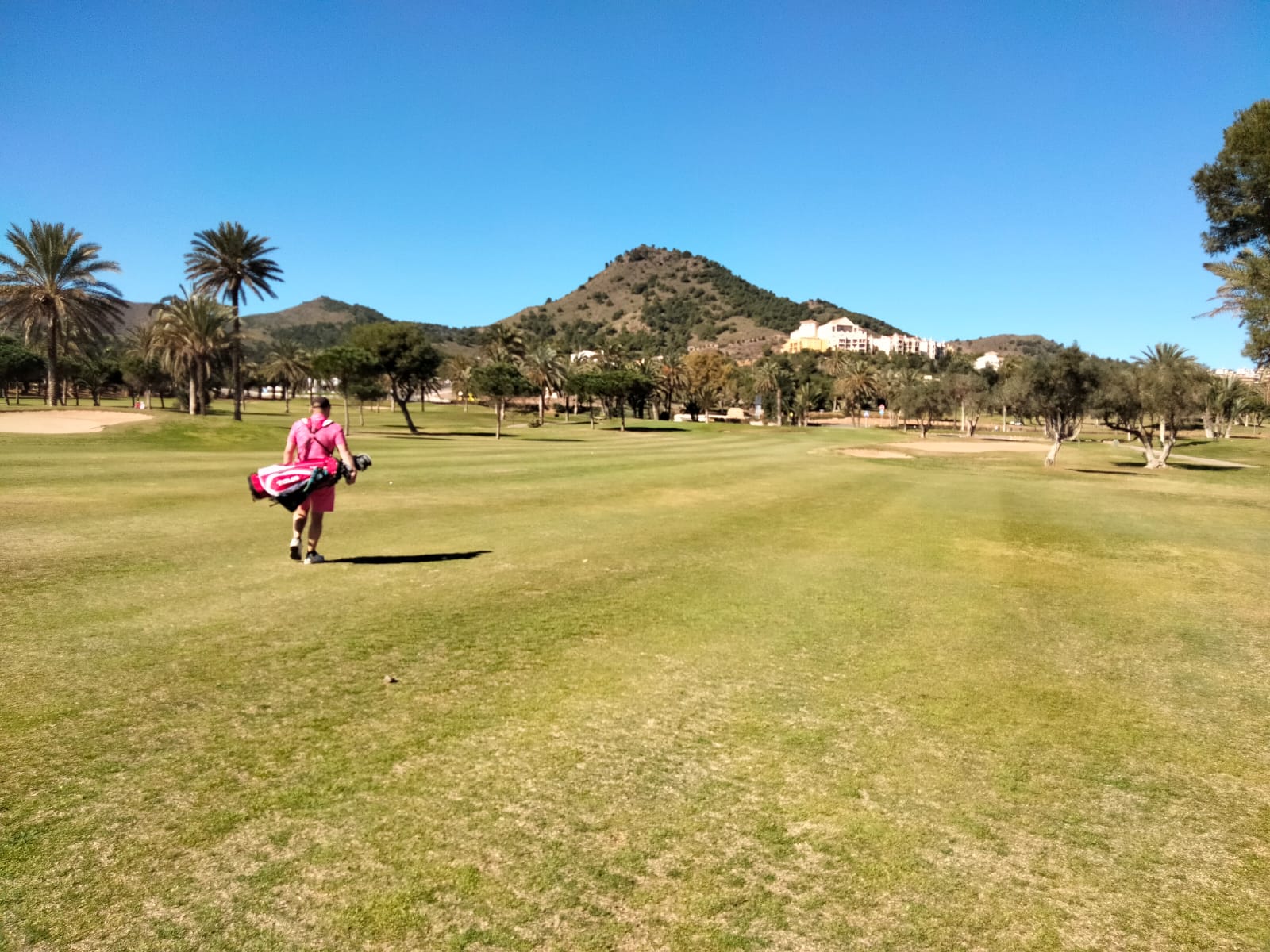 854264d8-330f-4759-8bf6-7c7cb569295e