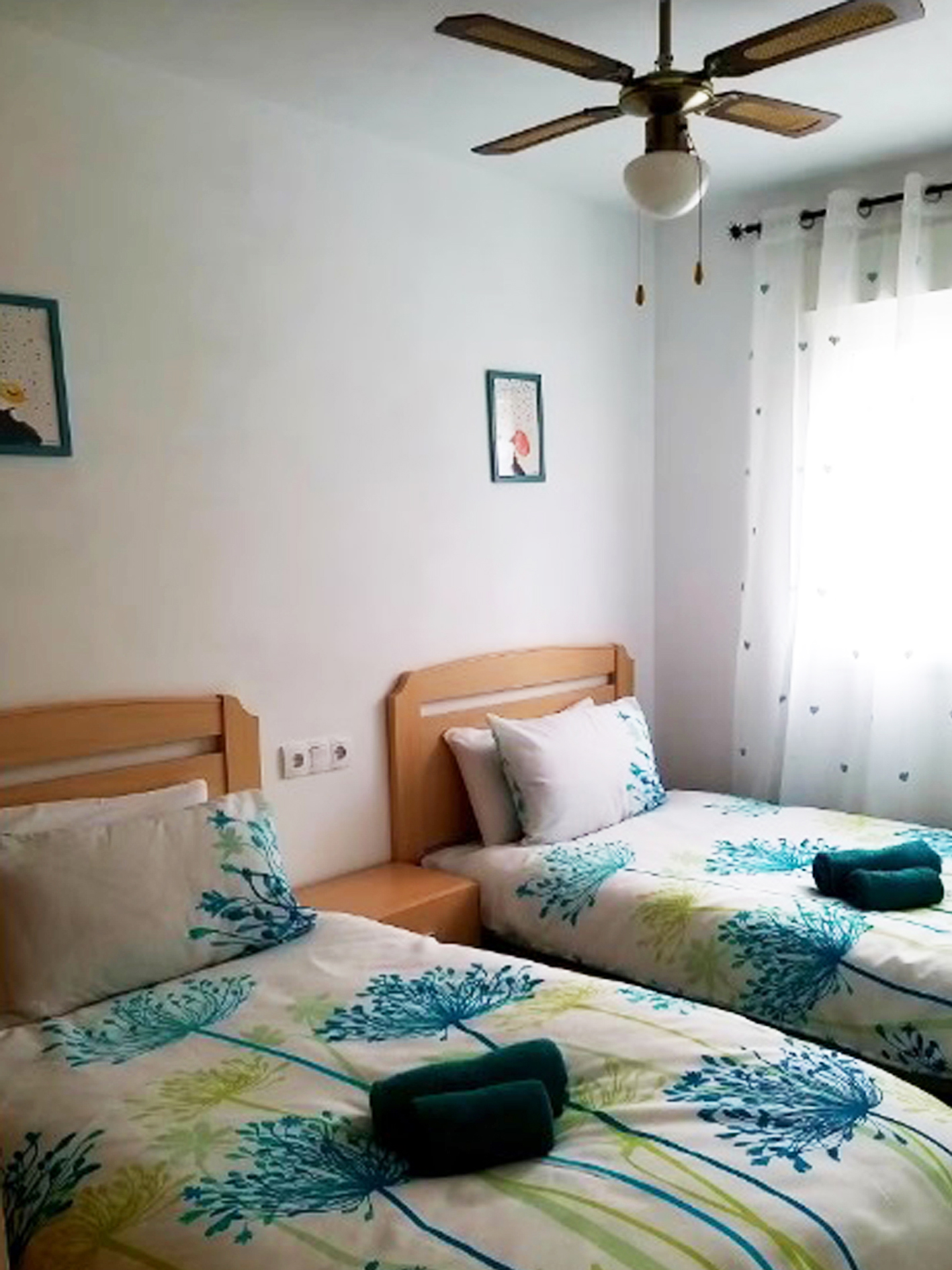 Apartment 1 Adult and 1 Junior